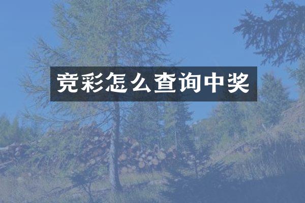 竞彩怎么查询中奖
