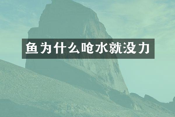 鱼为什么呛水就没力