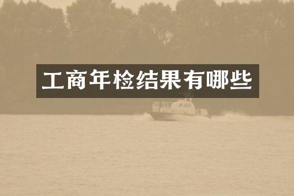工商年检结果有哪些