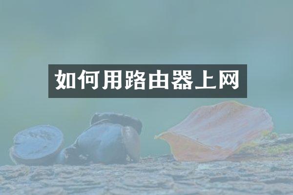 如何用路由器上网