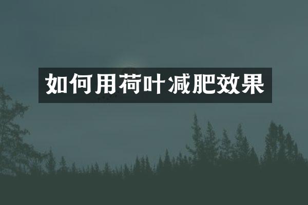 如何用荷叶减肥效果
