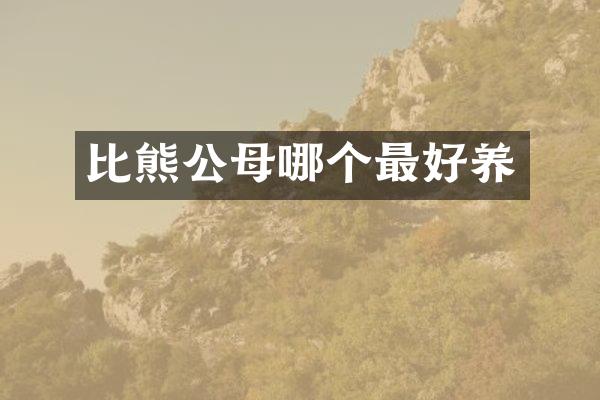 比熊公母哪个最好养