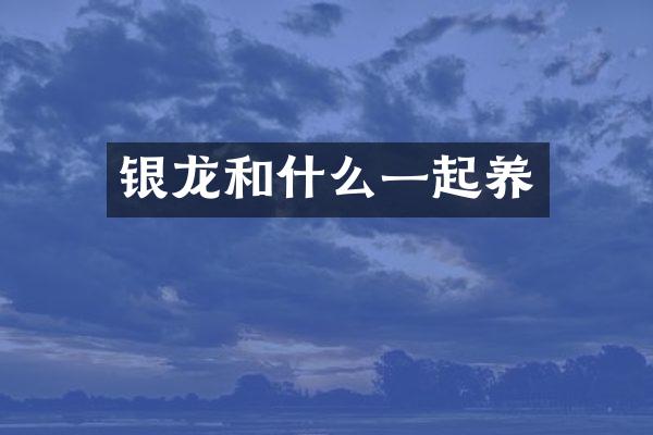 银龙和什么一起养