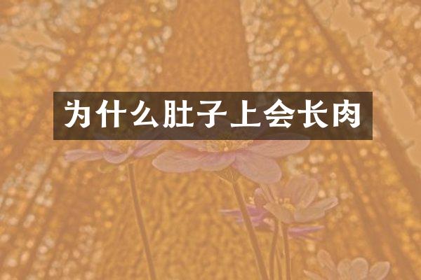 为什么肚子上会长肉