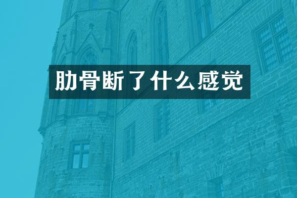 肋骨断了什么感觉