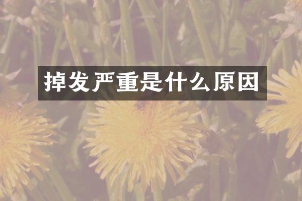 掉发严重是什么原因