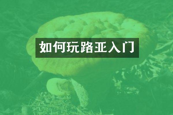 如何玩路亚入门