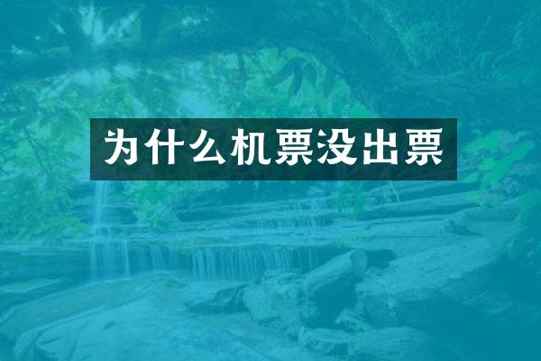 为什么机票没出票