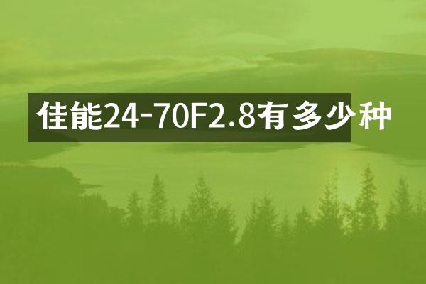 佳能24-70F2.8有多少种