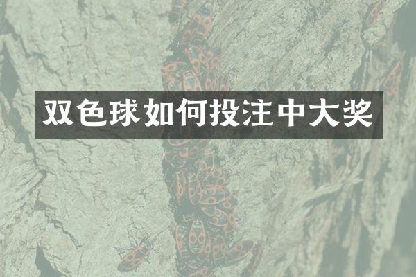 双色球如何投注中大奖