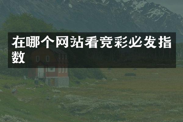 在哪个网站看竞彩必发指数