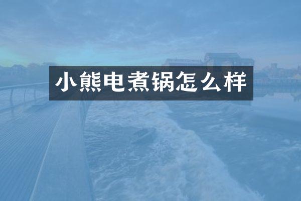 小熊电煮锅怎么样