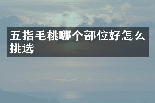 五指毛桃哪个部位好怎么挑选