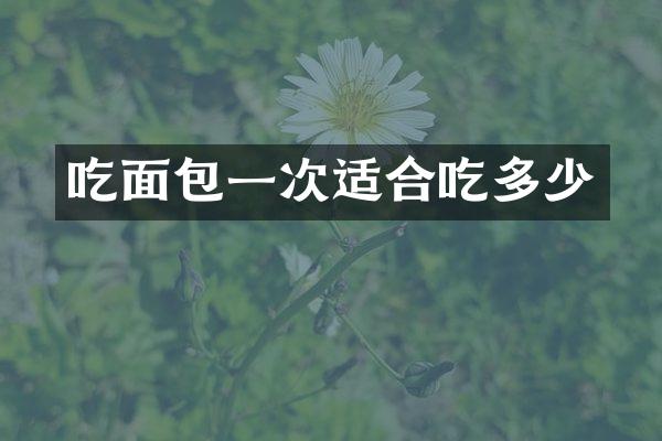 吃面包一次适合吃多少