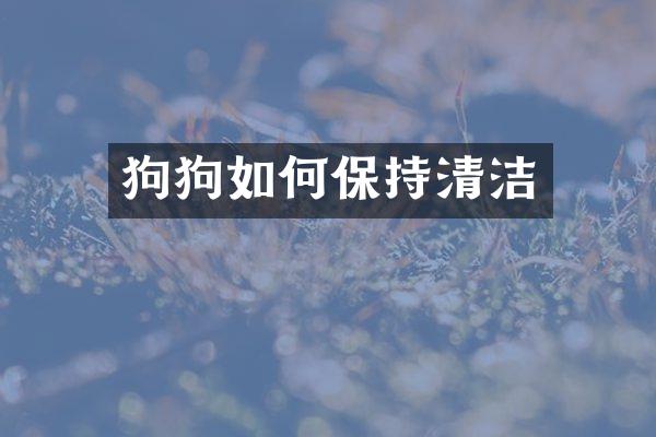 狗狗如何保持清洁