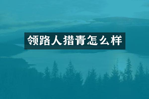 领路人猎青怎么样