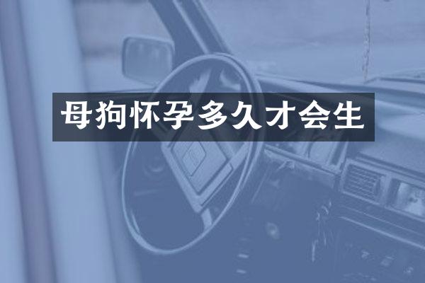 母狗怀孕多久才会生