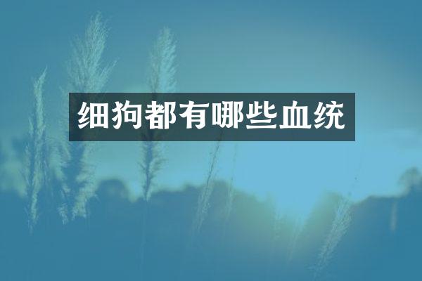 细狗都有哪些血统