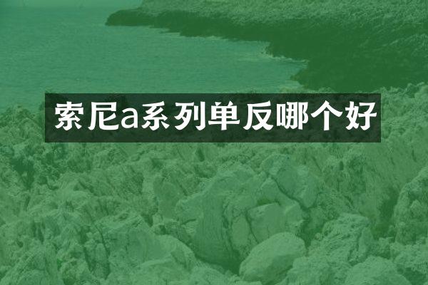 a系列单反哪个好
