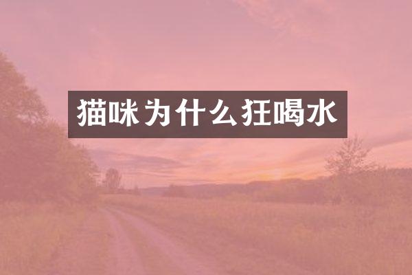 猫咪为什么狂喝水