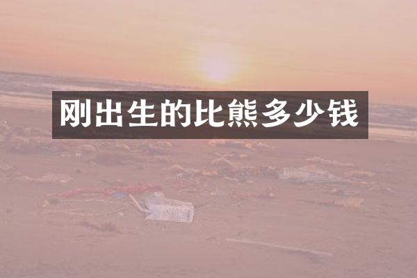 刚出生的比熊多少钱
