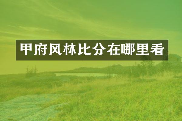 甲府风林比分在哪里看
