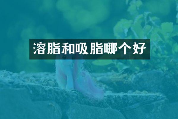 溶脂和吸脂哪个好