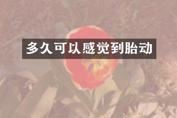多久可以感觉到胎动