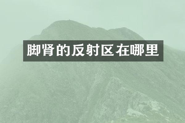脚肾的反射区在哪里