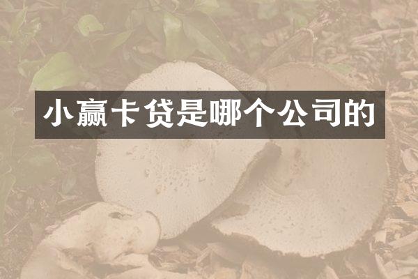 小赢卡贷是哪个公司的