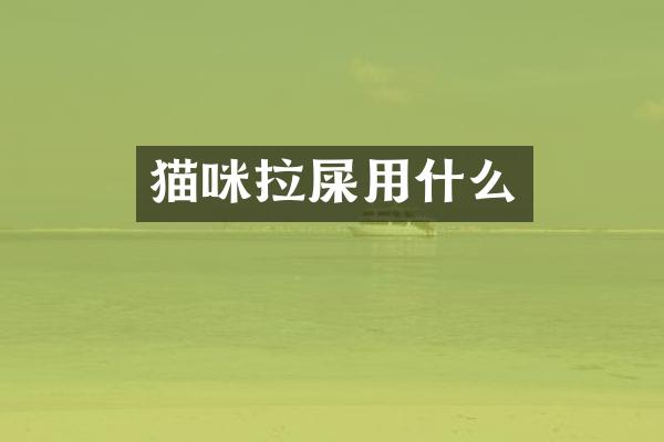 猫咪拉屎用什么