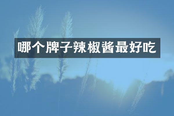 哪个牌子辣椒酱最好吃