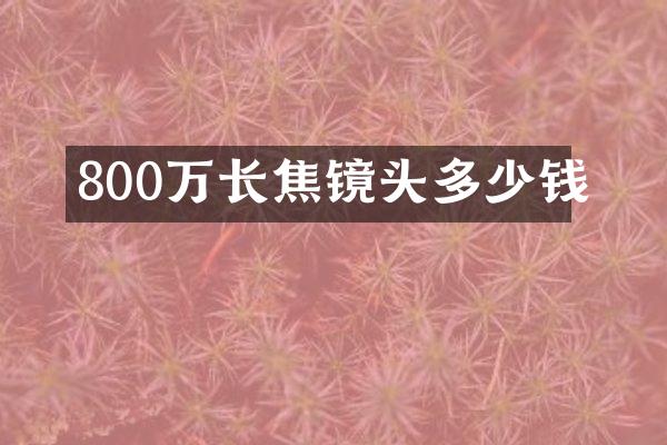 800万长焦镜头多少钱