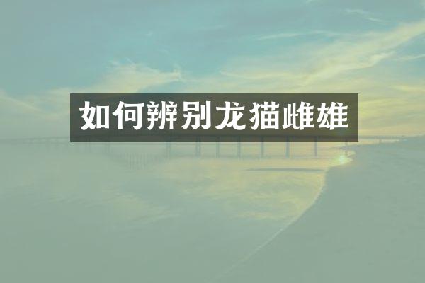 如何辨别龙猫雌雄
