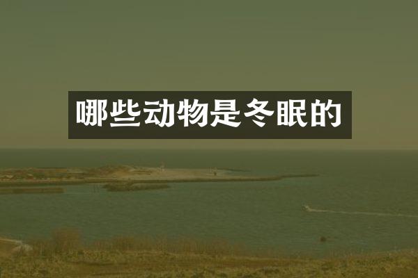 哪些动物是冬眠的