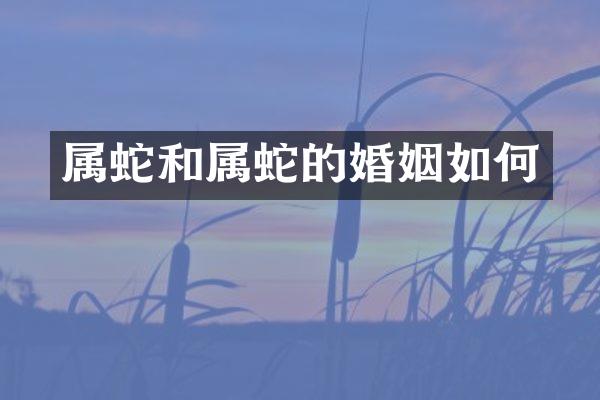 属蛇和属蛇的婚姻如何