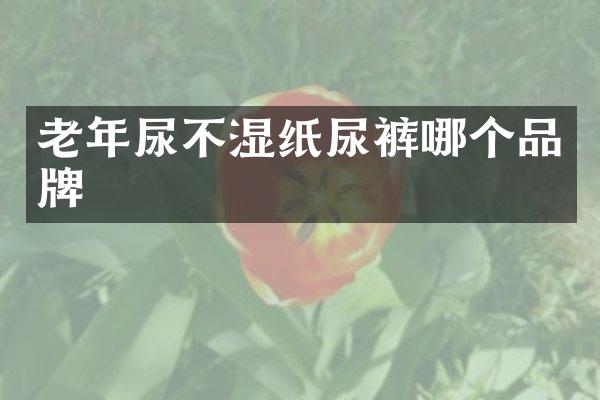 老年尿不湿纸尿裤哪个品牌