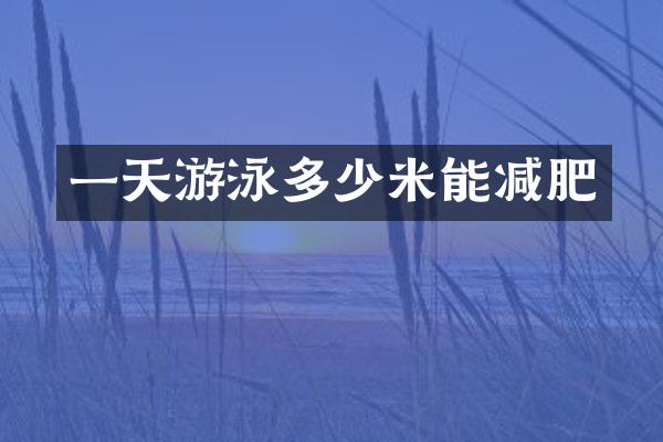 一天游泳多少米能减肥