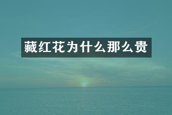 藏红花为什么那么贵