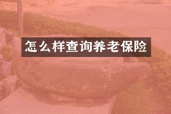 怎么样查询养老保险