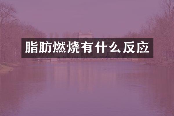 脂肪燃烧有什么反应