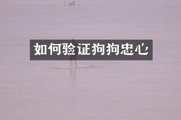 如何验证狗狗忠心