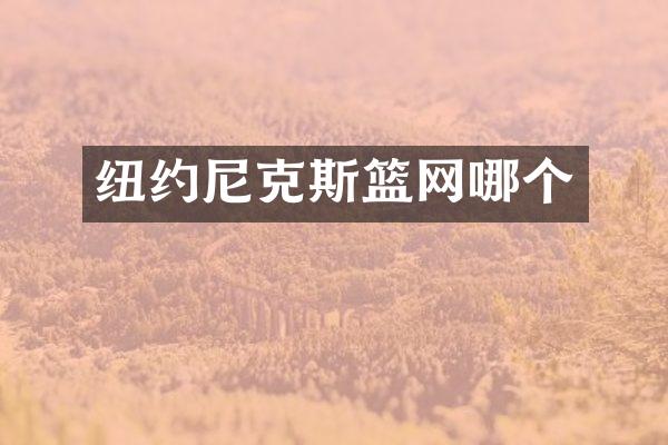 纽约尼克斯篮网哪个