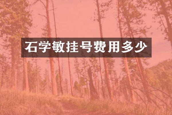 石学敏挂号费用多少
