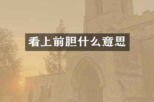 看上前胆什么意思