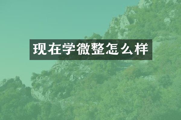 现在学微整怎么样