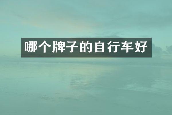 哪个牌子的自行车好