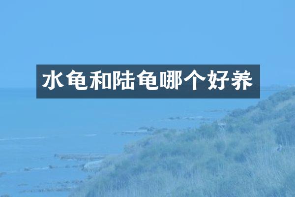 水龟和陆龟哪个好养