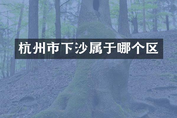杭州市下沙属于哪个区