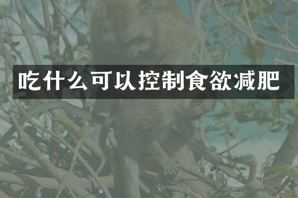 吃什么可以控制食欲减肥